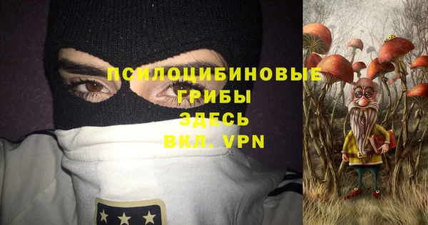 PSILOCYBIN Приозерск