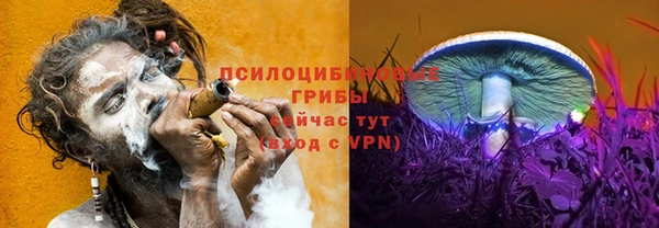 бошки Протвино