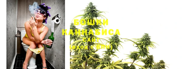 PSILOCYBIN Приозерск