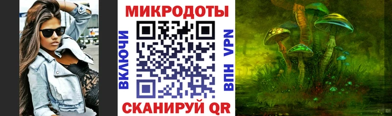Псилоцибиновые грибы Psilocybine cubensis omg tor Белозерск