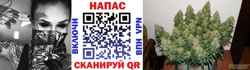 Марихуана марихуана  МЕГА зеркало  Белозерск 